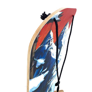Custom Sled image 2